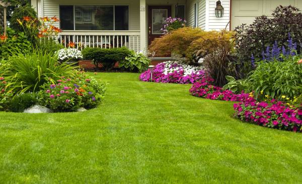 landscaping-featured-image